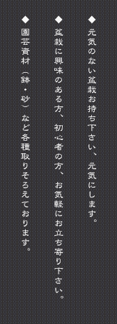 ● 元気のない盆栽お持ち下さい、元気にします。● 盆栽に興味のある方、初心者の方、お気軽にお立ち寄り下さい。● 園芸資材（鉢・砂）など各種取りそろえております